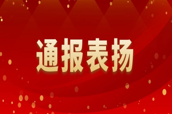 關(guān)于表?yè)P(yáng)2022年履職盡責(zé)優(yōu)秀個(gè)人的通報(bào)